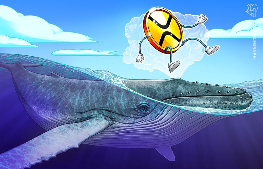 xrp-whale-strikes-29-million-tokens-to-bitstamp-amid-worth-slide