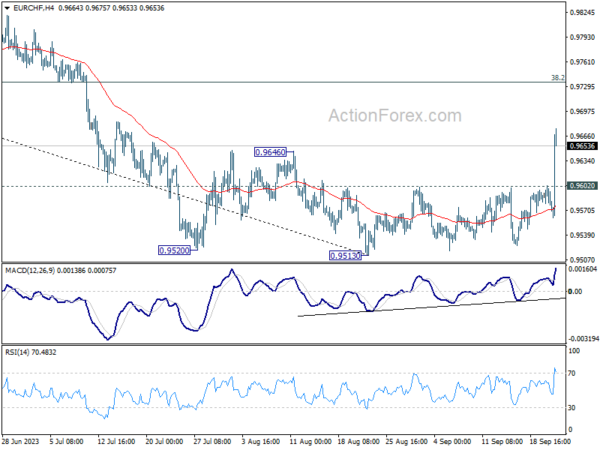eur/chf-every-day-outlook